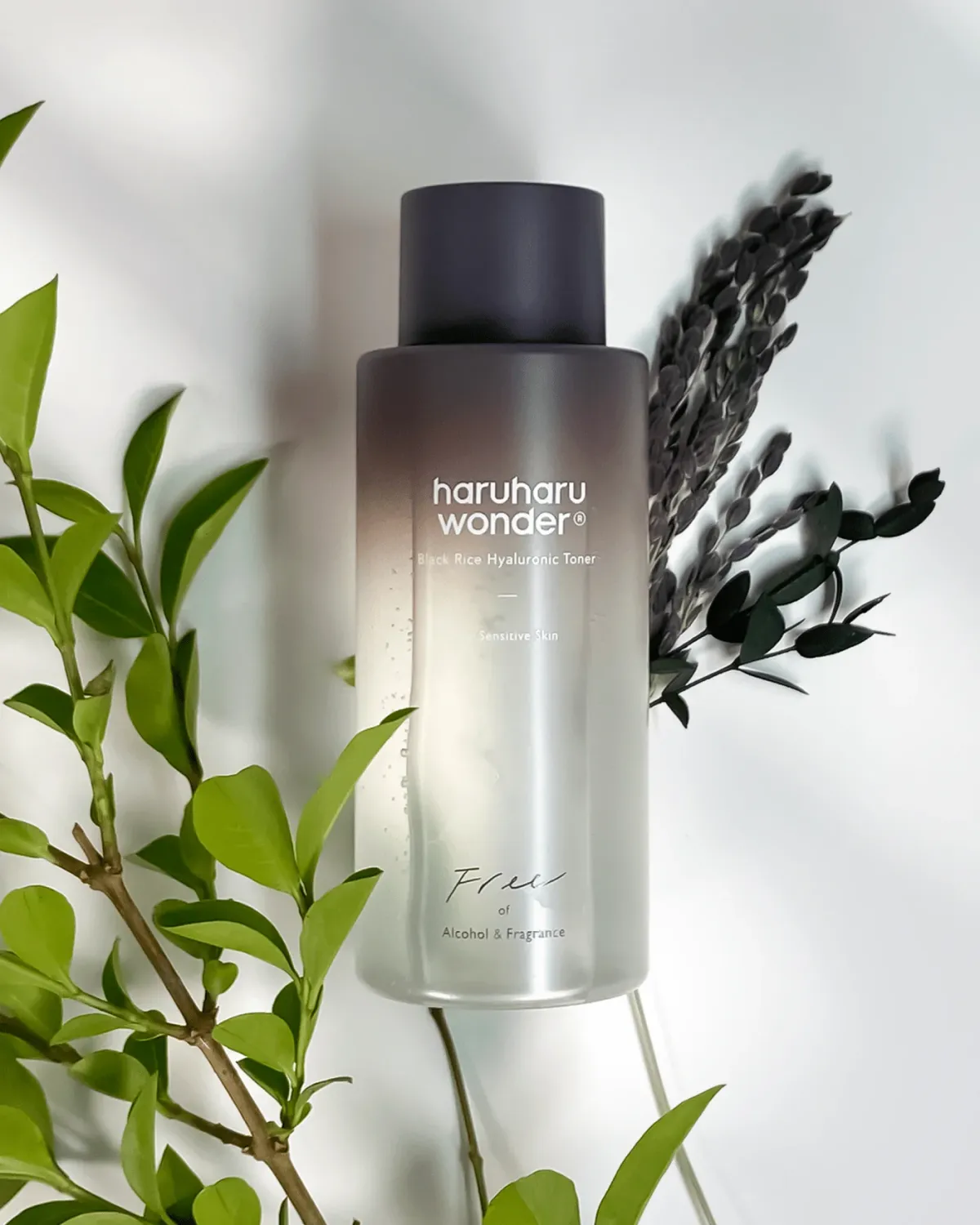 HARUHARU WONDER Black Rice Hyaluronic Toner (150ml)