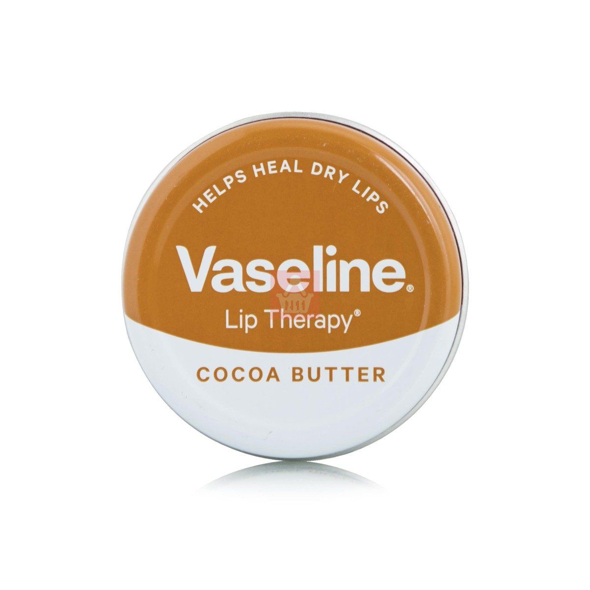 Vaseline Lip Therapy – Cocoa Butter (20gm)